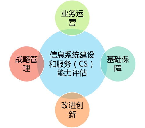 解讀信息系統(tǒng)建設(shè)和服務(wù)能力CS評估體系 信息技術(shù)咨詢服務(wù)的新航標(biāo)